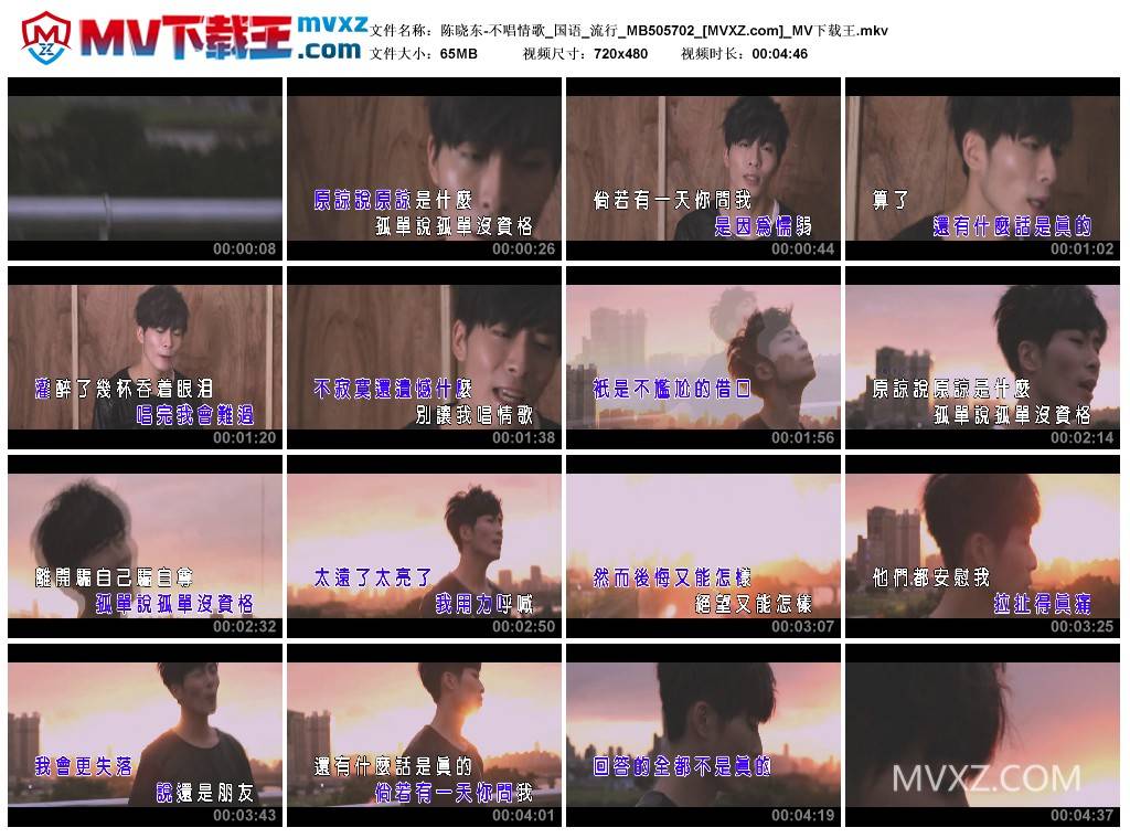 陈晓东-不唱情歌_国语_流行_MB505702